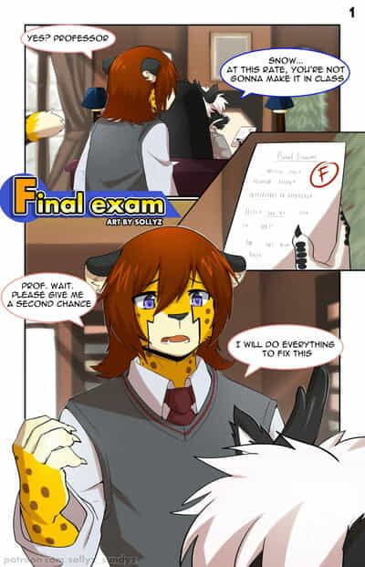 Sollyz Sundyz Final Exam