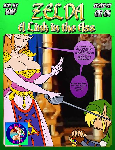 Zelda: A Link in the Ass